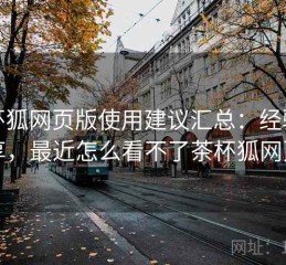 茶杯狐网页版使用建议汇总：经验分享，最近怎么看不了茶杯狐网页