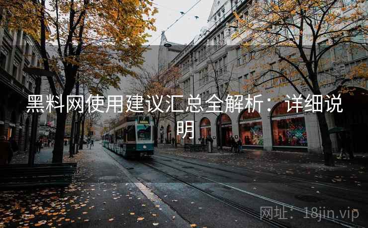 黑料网使用建议汇总全解析:详细说明 黑料网使用建议汇总全解析:详细说明