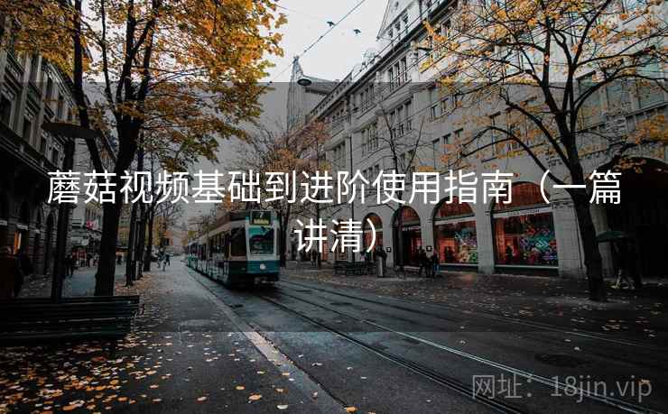 蘑菇视频基础到进阶使用指南(一篇讲清) 蘑菇视频基础到进阶使用指南(一篇讲清)