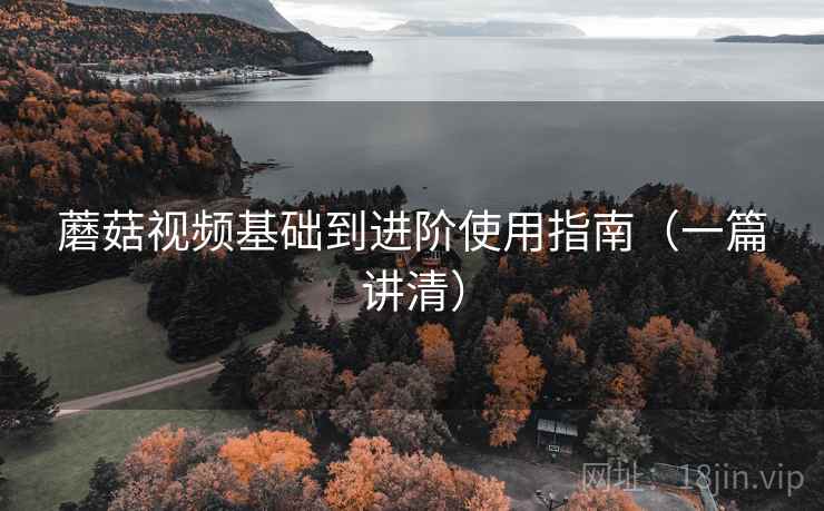 蘑菇视频基础到进阶使用指南(一篇讲清) 蘑菇视频基础到进阶使用指南(一篇讲清)